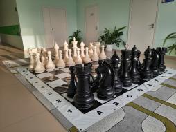 Кабинет шахматы